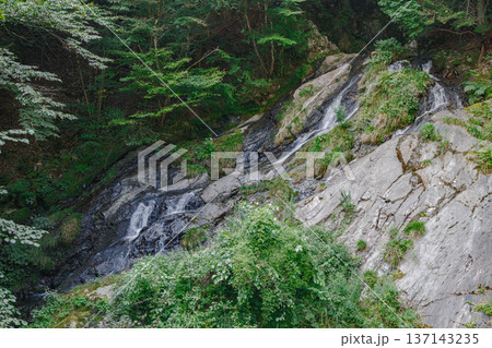 滝の流れ　東京都檜原村　夢の滝　 137143235