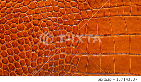 brown crocodile leather texture closeup brown crocodile leather texture closeup 137143337