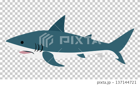 Simple and cute shark illustration - vector material of sea creatures 137144721