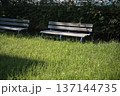 夏のベンチ 137144735