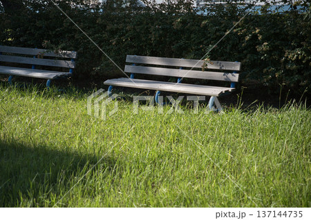 夏のベンチ 137144735