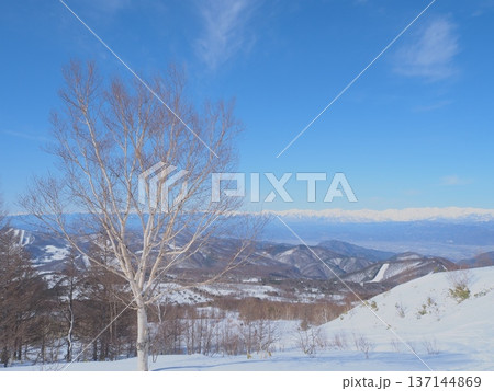 ダケカンバと北アルプスの山々(afli20260220094304) ダケカンバと北アルプスの山々(afli20260220094304) 137144869