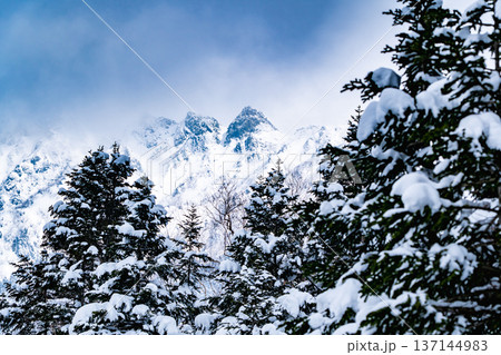 旧ボッカ道分岐（西穂高岳の登山道）から見上げる西穂独標　厳冬期の西穂独標登山　 137144983