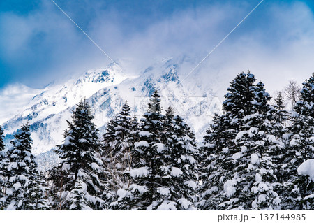 旧ボッカ道分岐（西穂高岳の登山道）から見上げる西穂高岳の山頂部　厳冬期の西穂独標登山 137144985