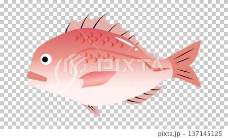 簡單可愛的鯛魚插圖,食物和魚類向量素材 簡單可愛的鯛魚插圖,食物和魚類向量素材 137145125