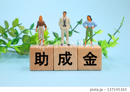 助成金と書かれたブロック 助成金と書かれたブロック 137145163