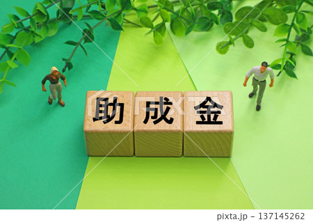 助成金と書かれたブロック 137145262