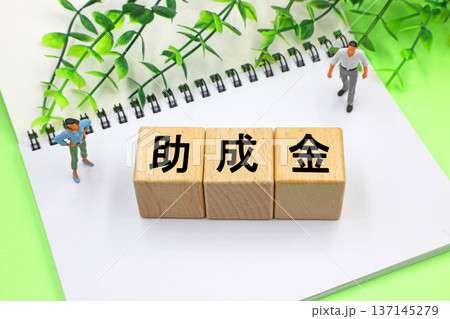 助成金と書かれたブロック 137145279