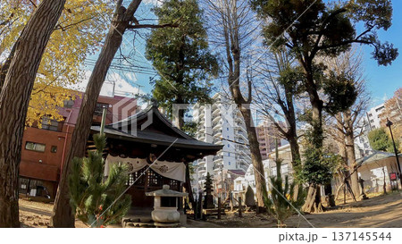 雑司が谷 鬼子母神堂の境内風景と青空 137145544