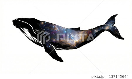 体内に宇宙が広がるクジラの水墨画 137145644