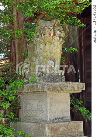 野々宮神社(松本) 野々宮神社(松本) 137145652