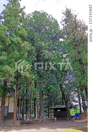 野々宮神社（松本） 137145687