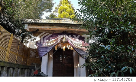 東京、大鳥神社境内にある小さな末社と豊かな緑 東京、大鳥神社境内にある小さな末社と豊かな緑 137145708