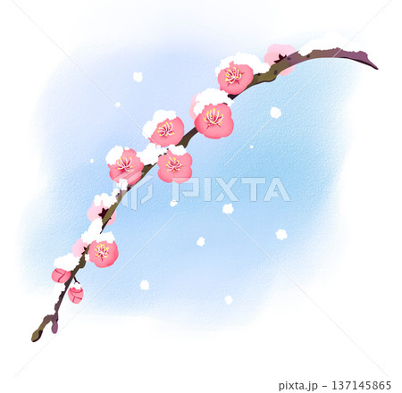 165_しだれ梅雪. 137145865