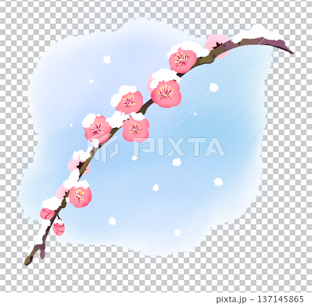 165_しだれ梅雪. 137145865