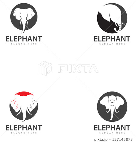 elephant logo vector icon. zoo elephant symbol simple head icon face african logo elephant logo vector icon. zoo elephant symbol simple head icon face african logo 137145875