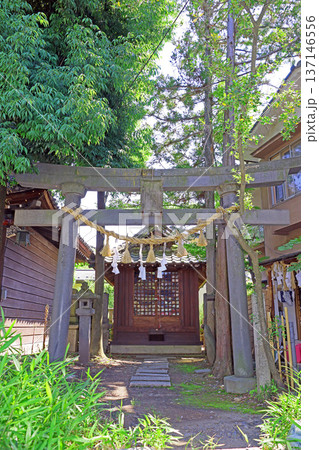 深志神社(松本) 深志神社(松本) 137146556