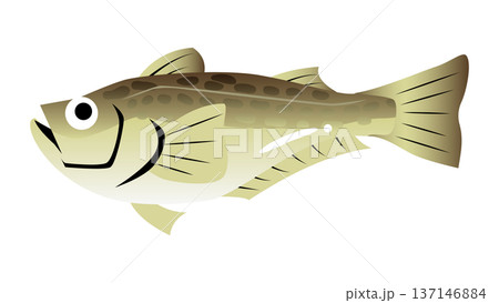 シンプルでかわいいハタハタのイラスト　食べ物・魚のベクター素材 137146884