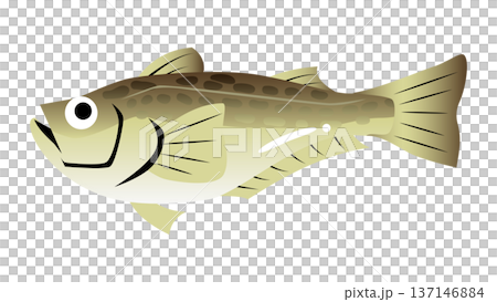 シンプルでかわいいハタハタのイラスト　食べ物・魚のベクター素材 137146884