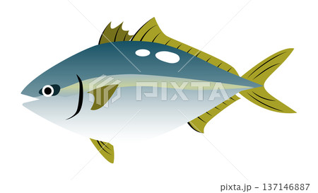 シンプルでかわいい鰤(ブリ)のイラスト 食べ物・魚のベクター素材 シンプルでかわいい鰤(ブリ)のイラスト 食べ物・魚のベクター素材 137146887