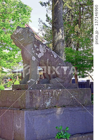 深志神社(松本) 深志神社(松本) 137146960
