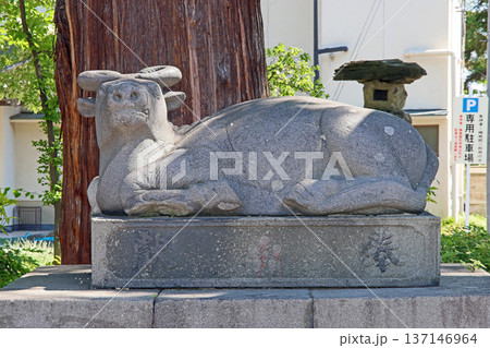 深志神社(松本) 深志神社(松本) 137146964