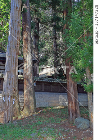 須々岐水神社(松本) 須々岐水神社(松本) 137147228