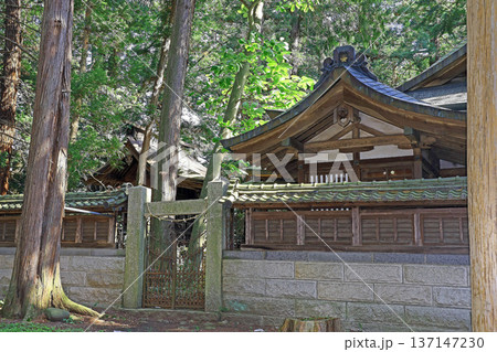 須々岐水神社（松本） 137147230