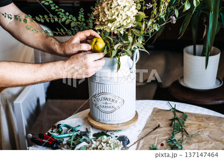 Hands place small green fruit into rustic floral arrangement with hydrangea and leafy branches in metal milk can. Floral fruit centerpiece, vegetable flower arrangement, organic harvest decor. Hands place small green fruit into rustic floral arrangement with hydrangea and leafy branches in metal milk can. Floral fruit centerpiece, vegetable flower arrangement, organic harvest decor. 137147464