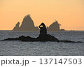 夕暮れのゴジラ岩 137147503