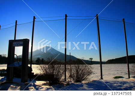ネット裏の富士山 ネット裏の富士山 137147505