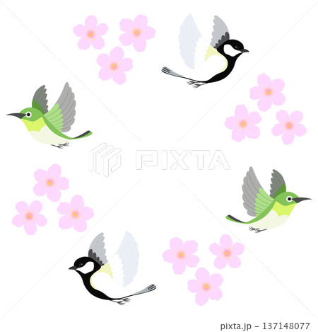 桜と小鳥のイラスト 137148077