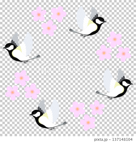 Cherry blossoms and birds illustration Cherry blossoms and birds illustration 137148104