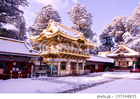 日光市　日光東照宮　雪景色の陽明門 137148655
