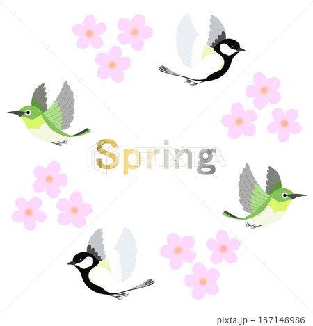 Spring_桜と小鳥のイラスト Spring_桜と小鳥のイラスト 137148986