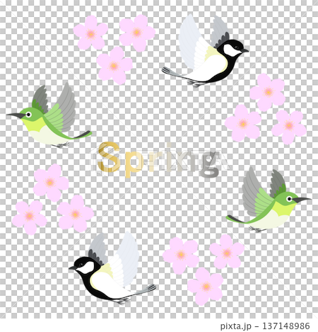 Spring_桜と小鳥のイラスト Spring_桜と小鳥のイラスト 137148986