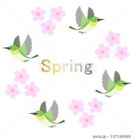 Spring_桜と小鳥のイラスト Spring_桜と小鳥のイラスト 137148988