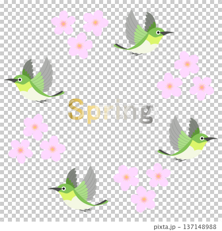 Spring_桜と小鳥のイラスト Spring_桜と小鳥のイラスト 137148988