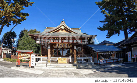 青空に映える神社の拝殿と奉納提灯 青空に映える神社の拝殿と奉納提灯 137149043