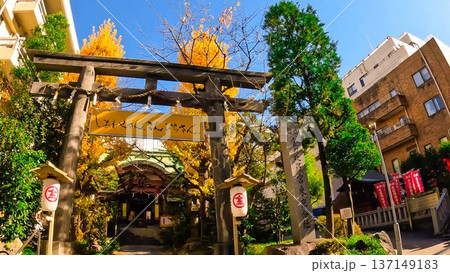 秋の東京・金刀比羅宮 東京分社と銀杏 137149183