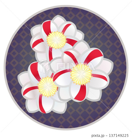 円形背景のついた紅白絞りの花桃のイラスト 円形背景のついた紅白絞りの花桃のイラスト 137149225