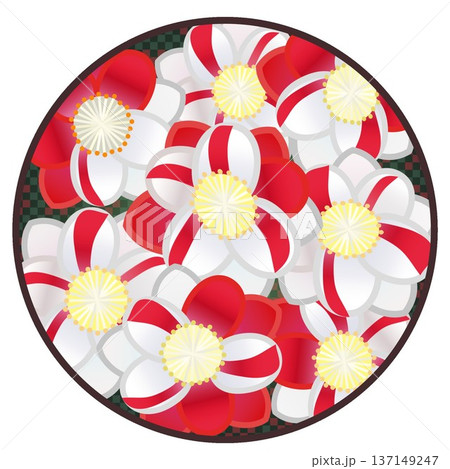 円形背景のついた紅白絞りの花桃のイラスト 円形背景のついた紅白絞りの花桃のイラスト 137149247