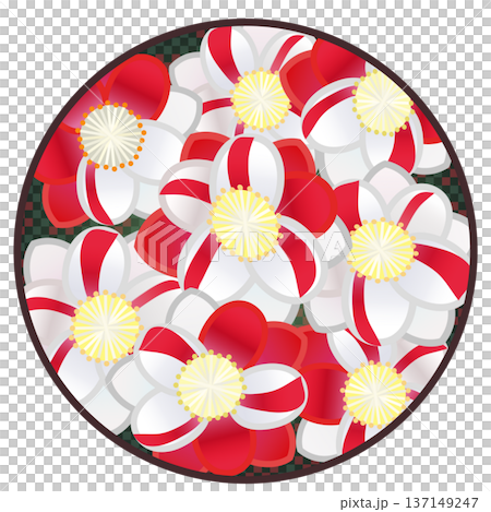 円形背景のついた紅白絞りの花桃のイラスト 円形背景のついた紅白絞りの花桃のイラスト 137149247