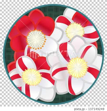 円形背景のついた紅白絞りの花桃のイラスト 円形背景のついた紅白絞りの花桃のイラスト 137149249
