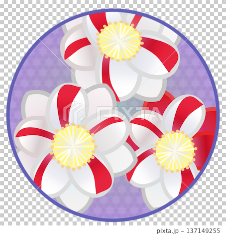 円形背景のついた紅白絞りの花桃のイラスト 円形背景のついた紅白絞りの花桃のイラスト 137149255