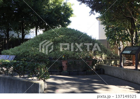 池上本門寺 堤方権現台古墳 池上本門寺 堤方権現台古墳 137149325