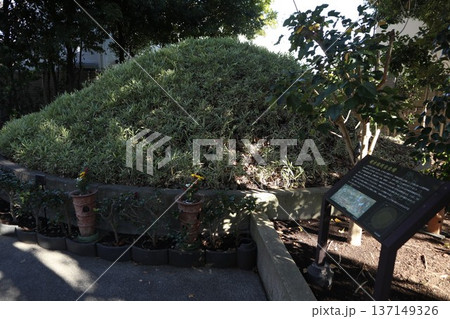 池上本門寺 堤方権現台古墳 池上本門寺 堤方権現台古墳 137149326
