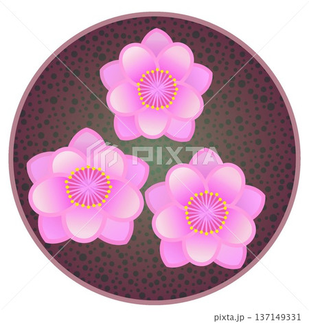 円形背景のついたピンクの花桃のイラスト 円形背景のついたピンクの花桃のイラスト 137149331