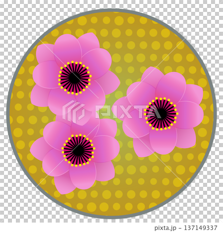 円形背景のついたピンクの花桃のイラスト 円形背景のついたピンクの花桃のイラスト 137149337