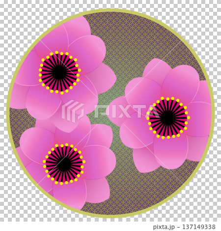 円形背景のついたピンクの花桃のイラスト 円形背景のついたピンクの花桃のイラスト 137149338